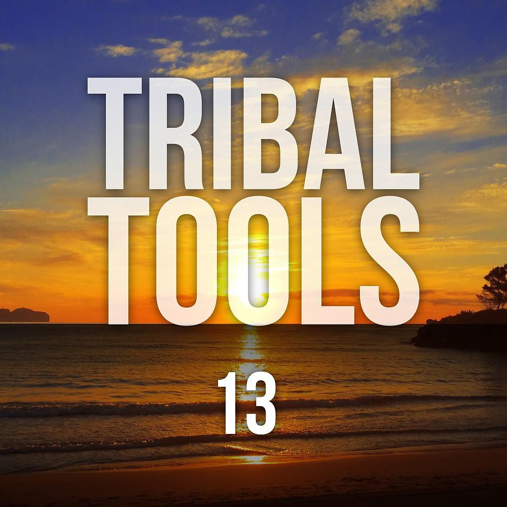 Постер альбома Tribal Tools, Vol. 13