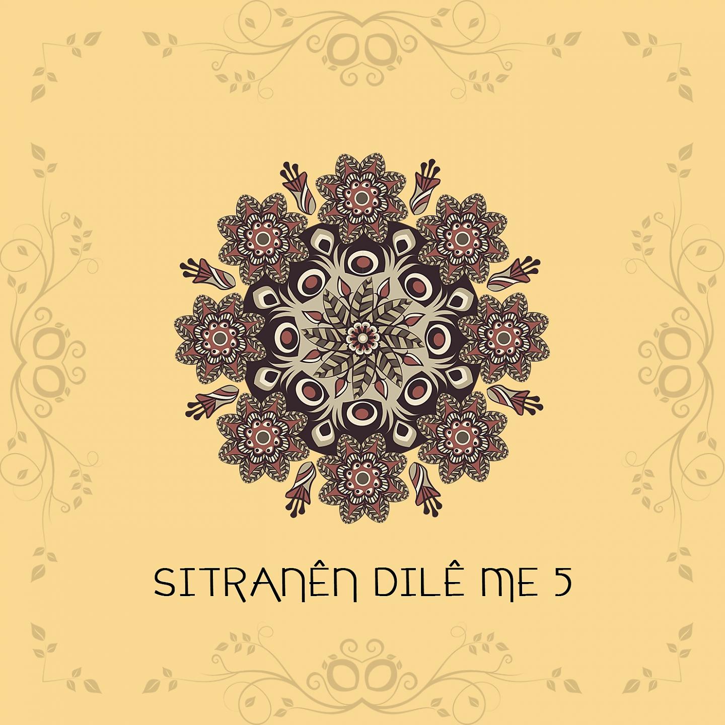 Постер альбома Sitranên Dilê Me, Vol. 5