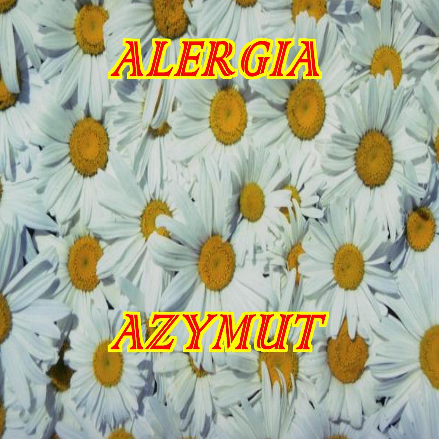 Постер альбома Azymut