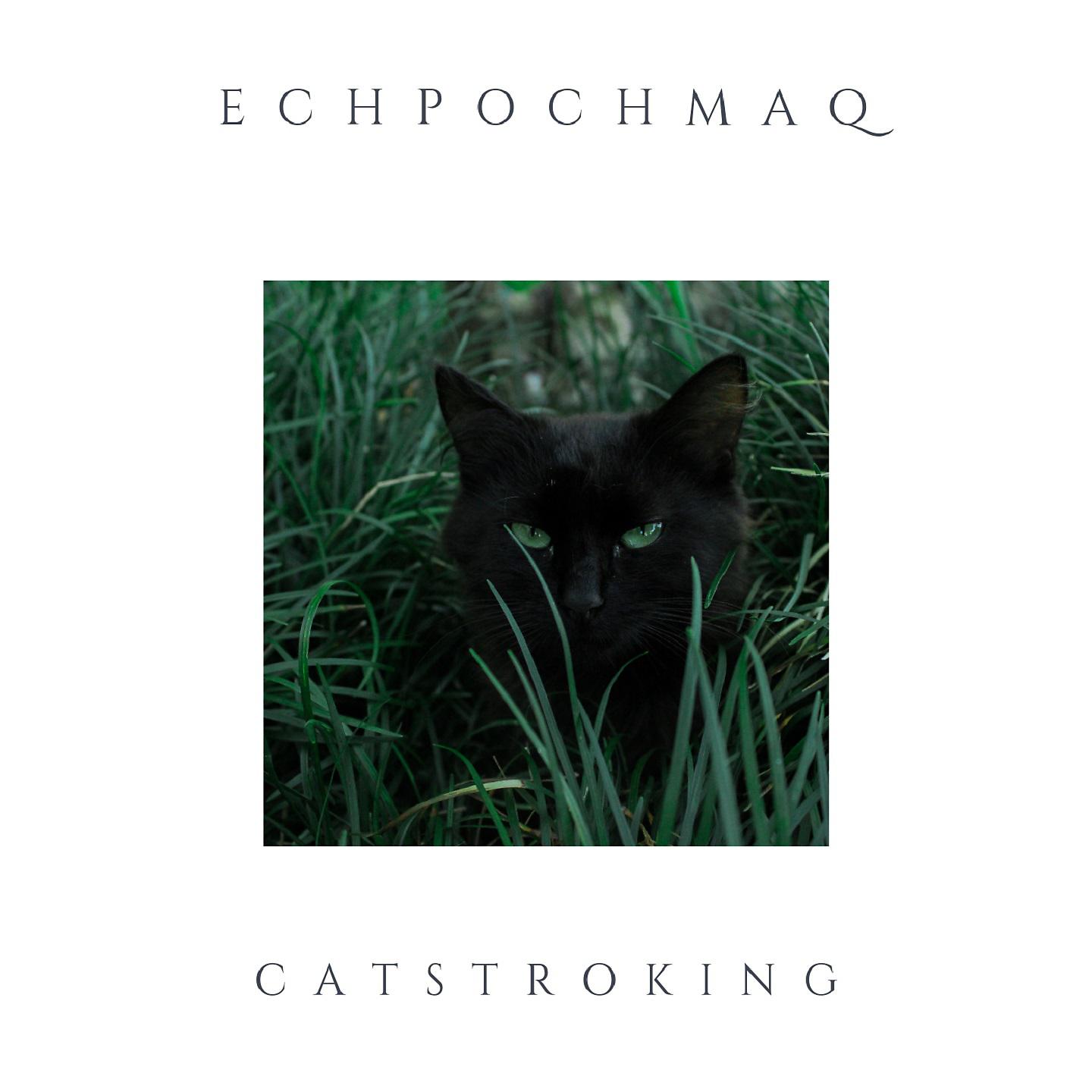 Постер альбома Catstroking