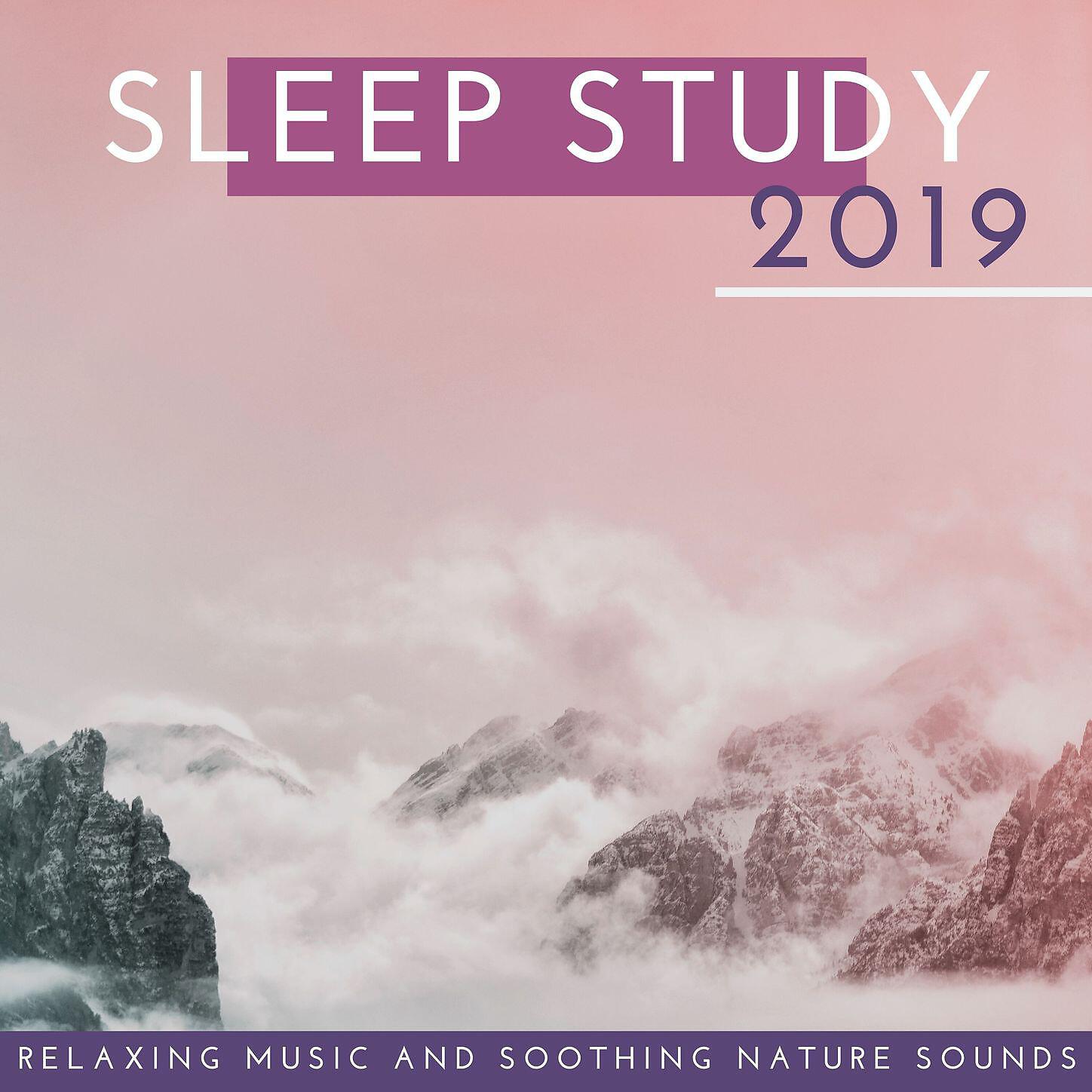 Shakuhachi Sakano - Sleep Study