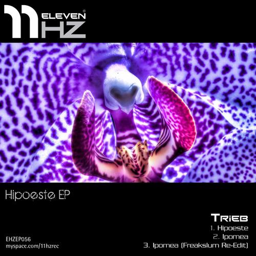 Постер альбома Hipoeste - EP