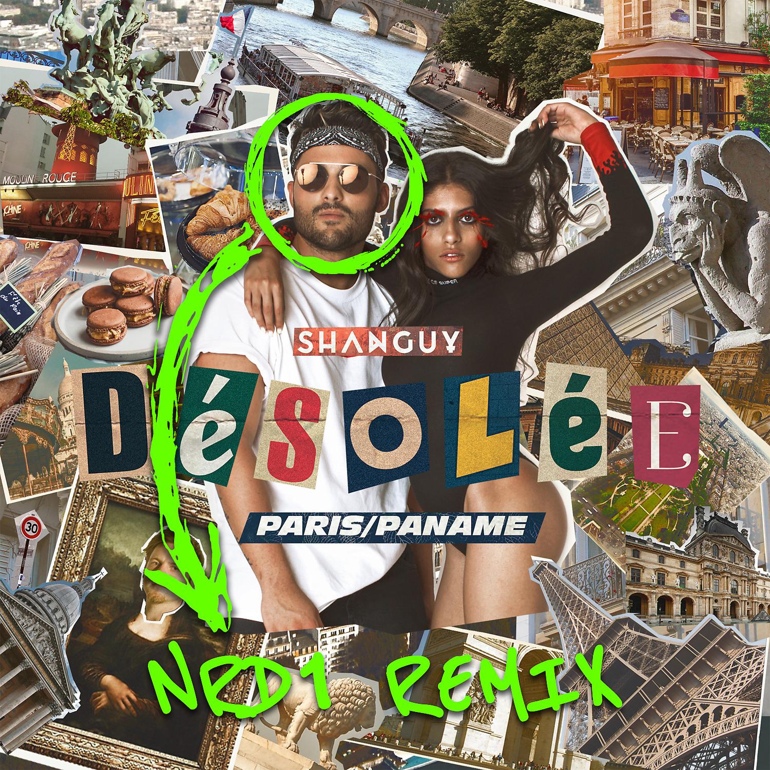 Постер альбома Desolee (Paris/Paname) [NRD1 Remix]
