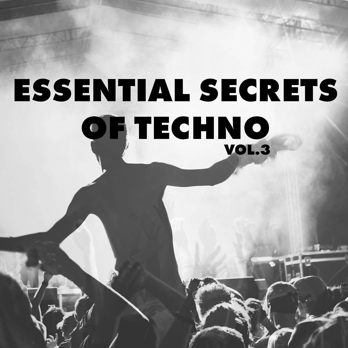 Постер альбома Essential Secrets of Techno, Vol. 3