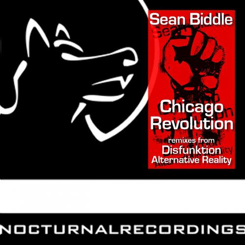 Sean Biddle - Chicago Revolution (Disfunktion Remix)