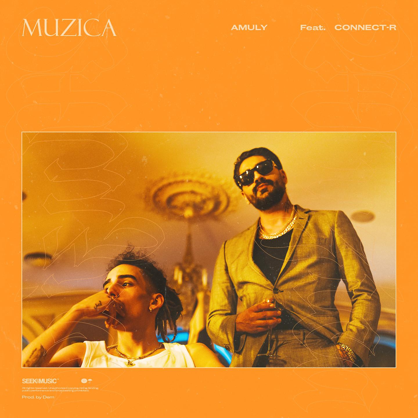 Постер альбома Muzica