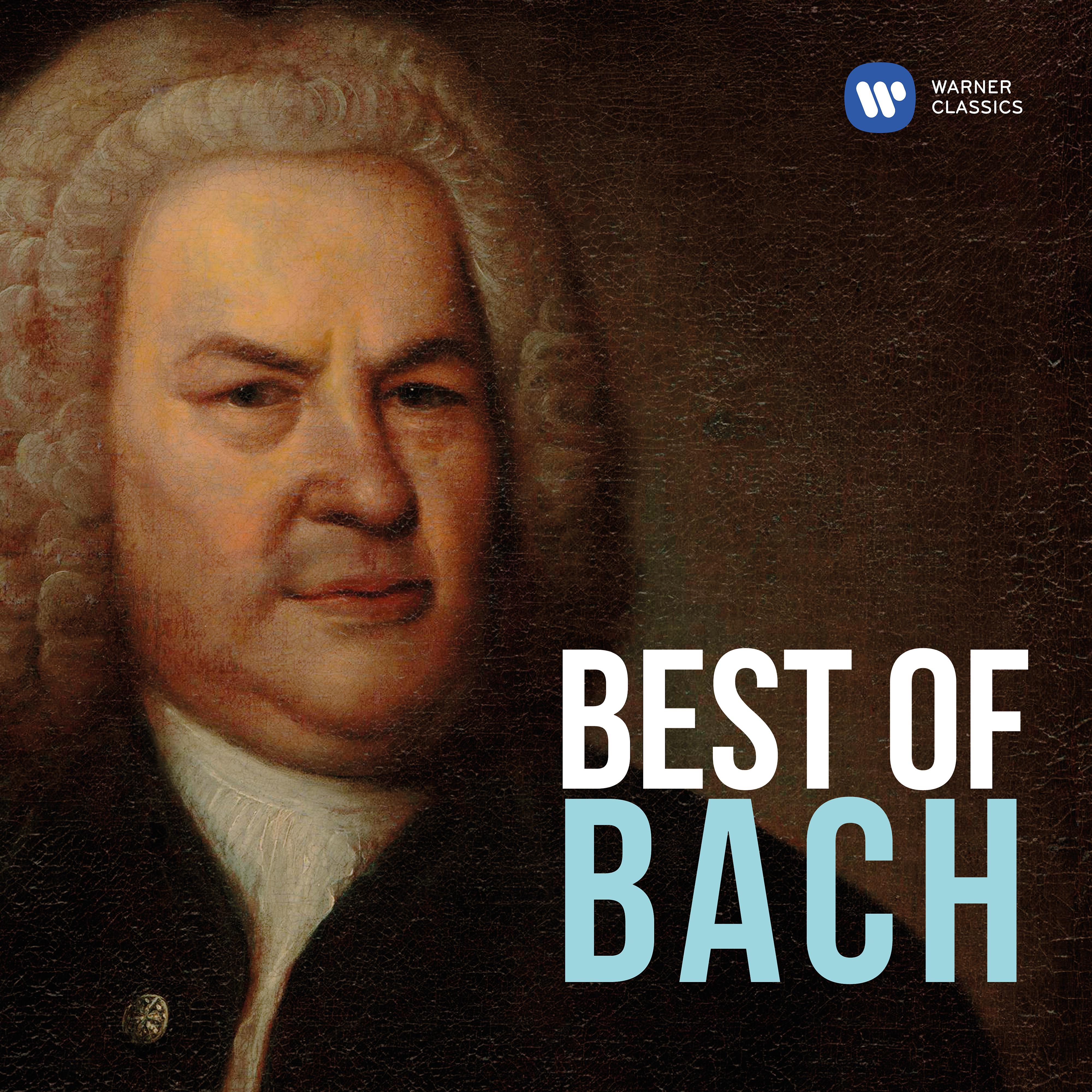 Постер альбома Best Of Bach