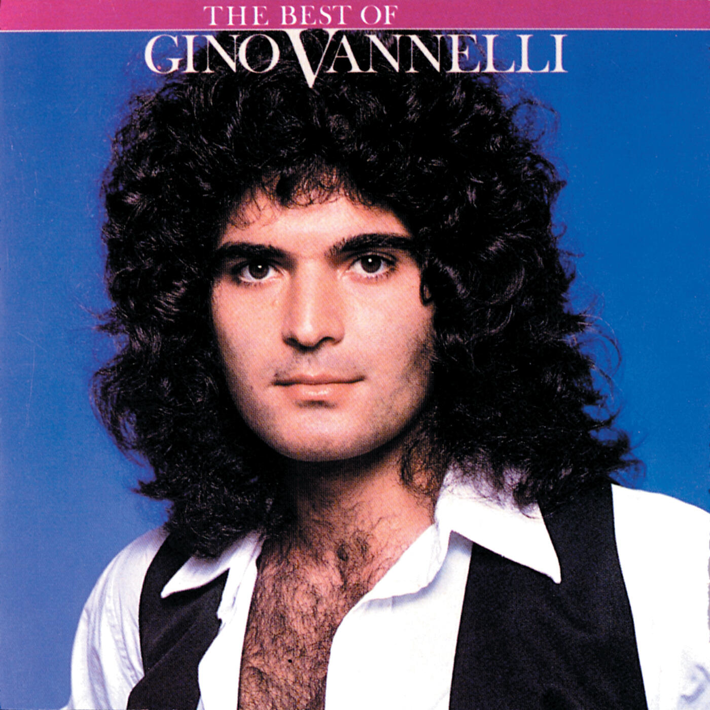 Gino Vannelli - Appaloosa (Album Version)