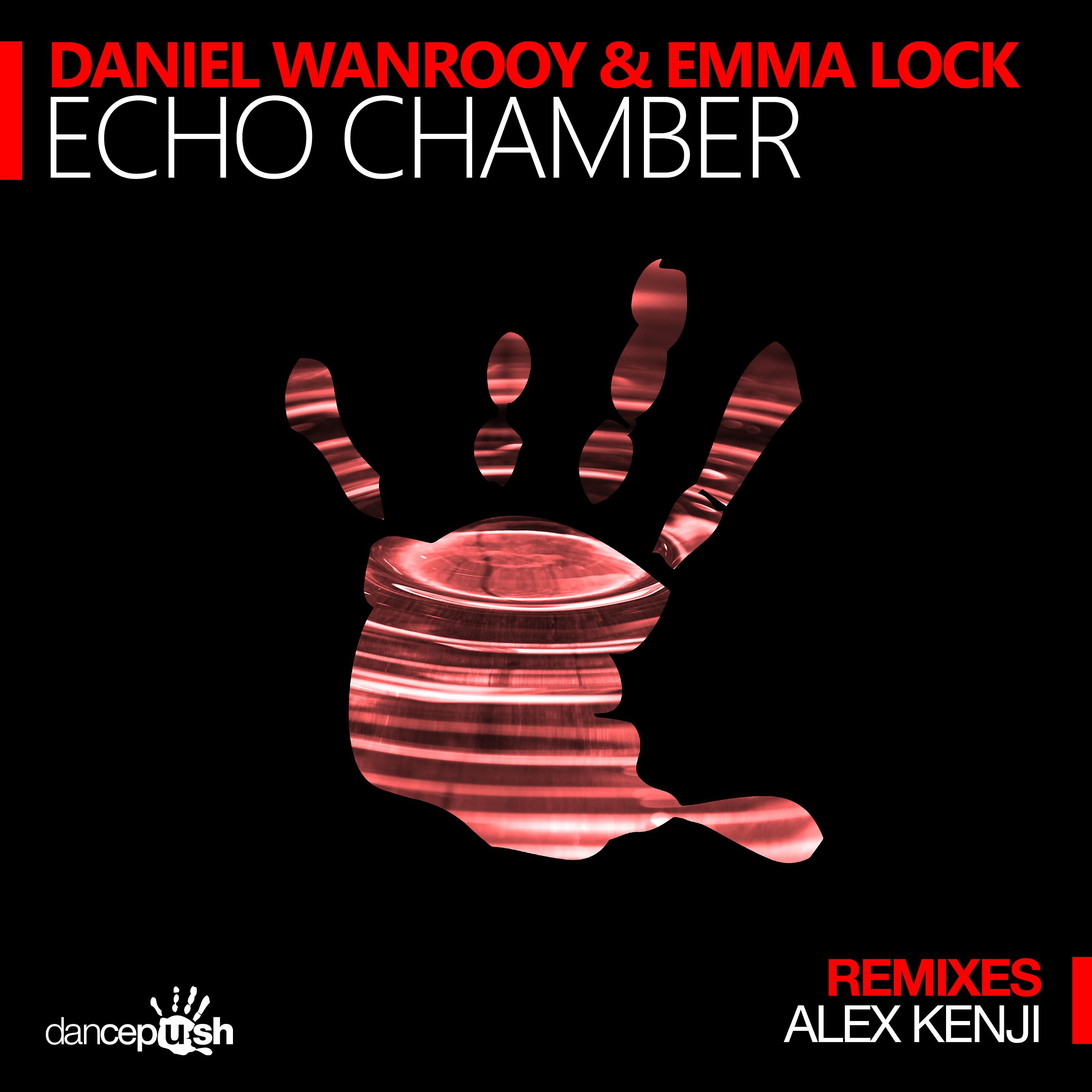Постер альбома Echo Chamber