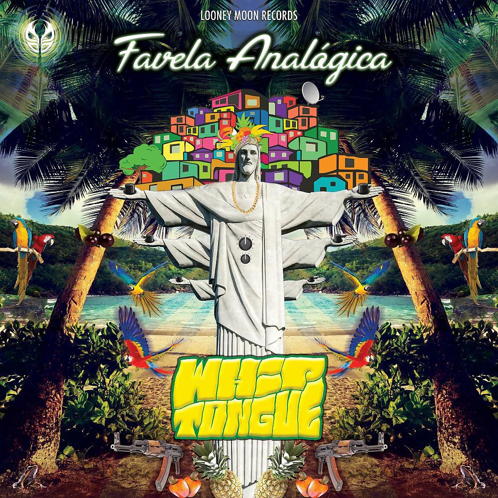 Постер альбома Favela Analogica