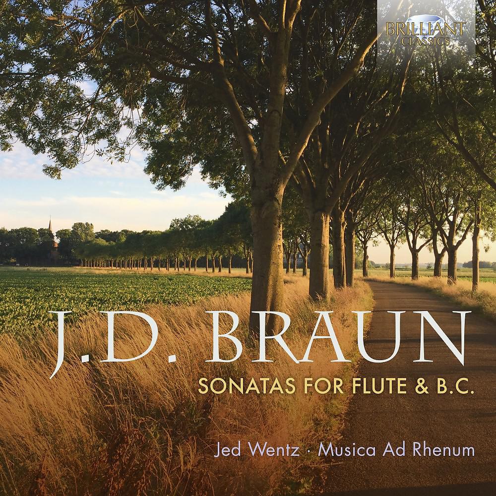 Постер альбома J. D. Braun: Sonatas for Traverso Flute & B.C.