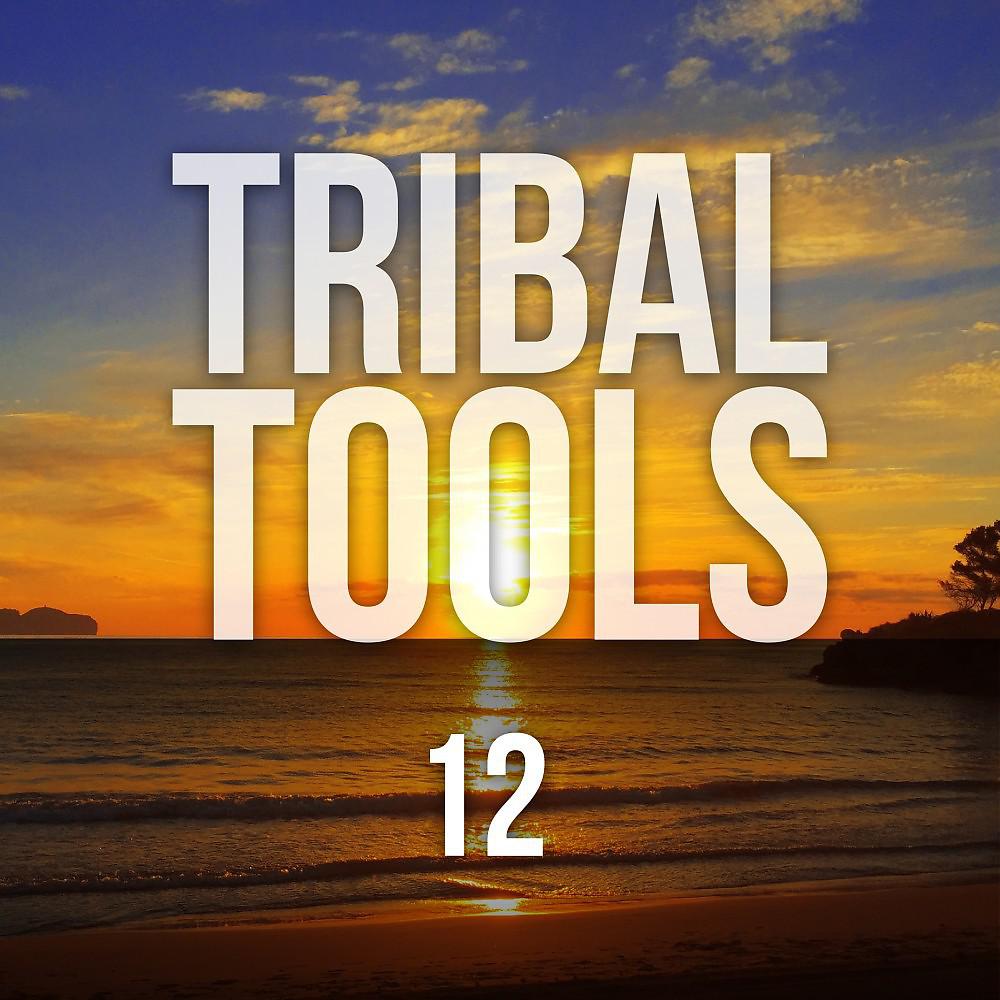 Постер альбома Tribal Tools, Vol. 12