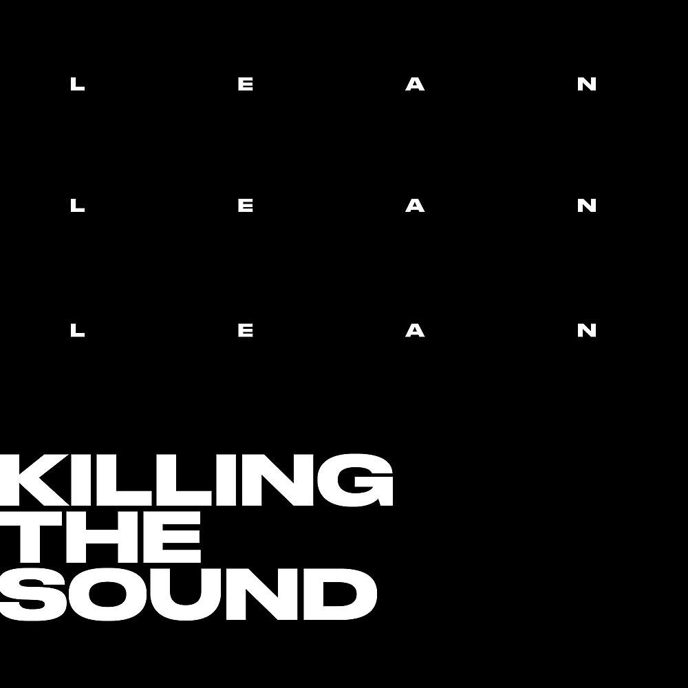 Постер альбома Killing the Sound