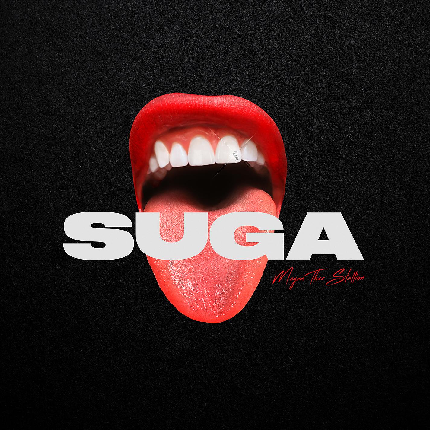 Постер альбома Suga