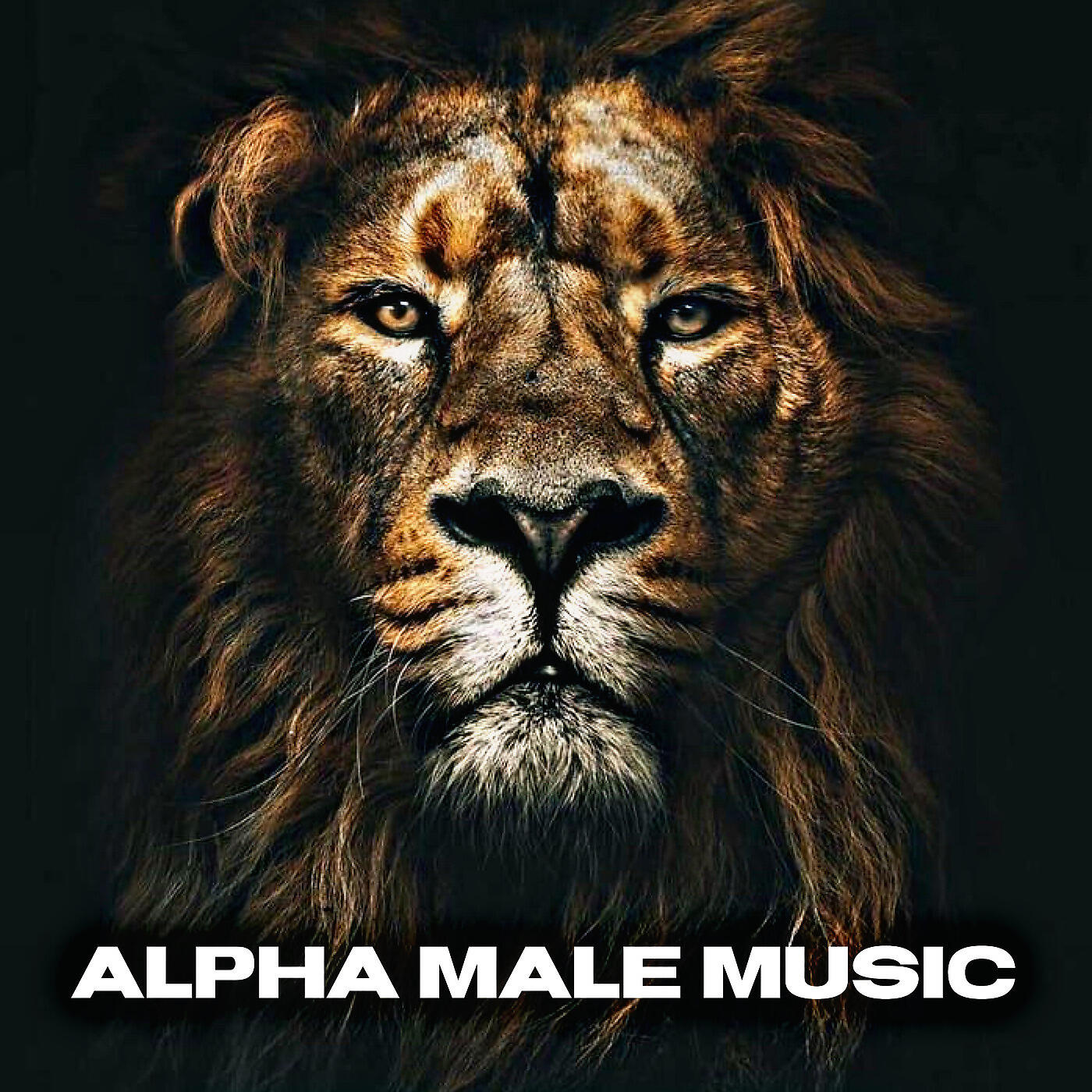 The Bad Seed x Team Demo - Alpha Male Music
