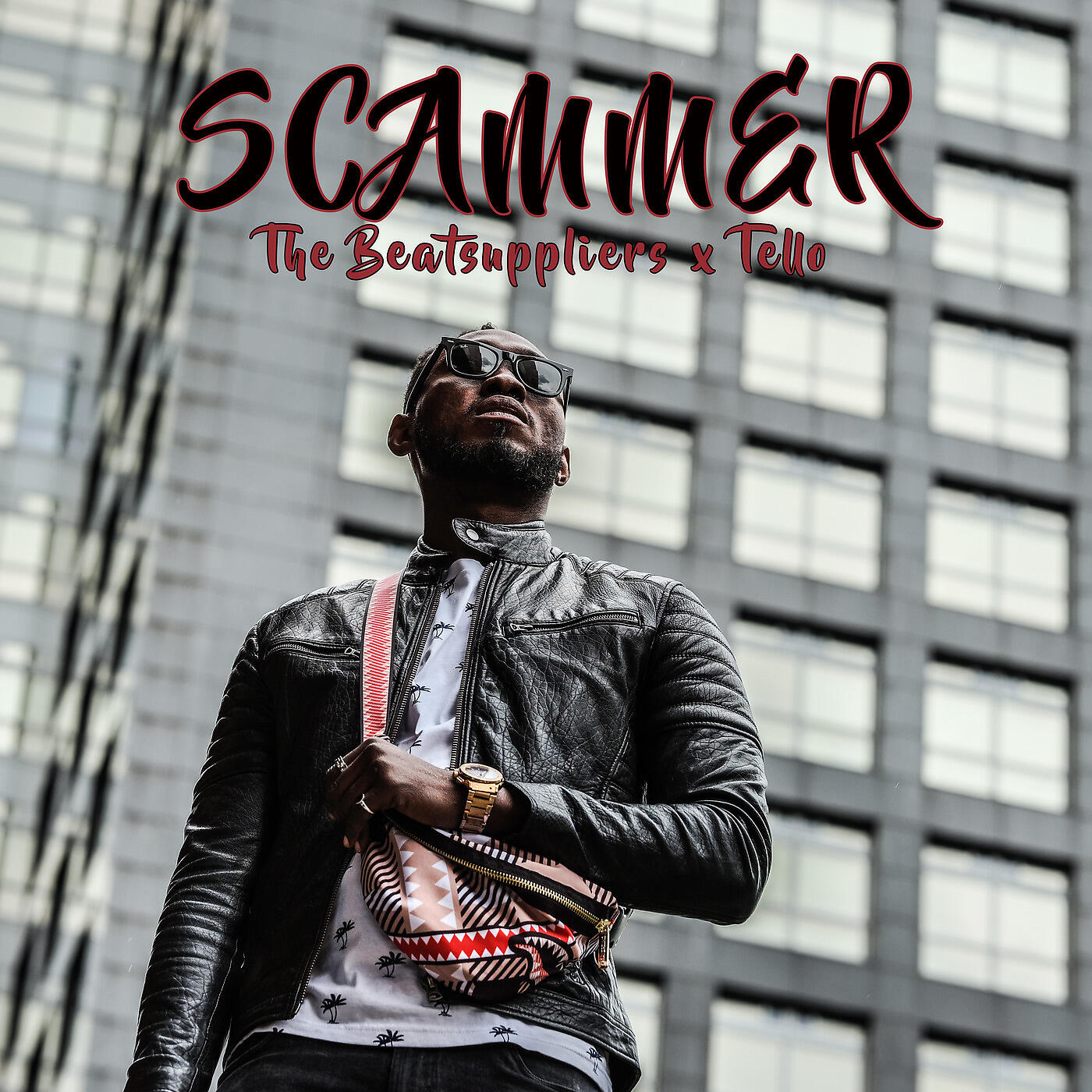 THE BEATSUPPLIERS - Scammer