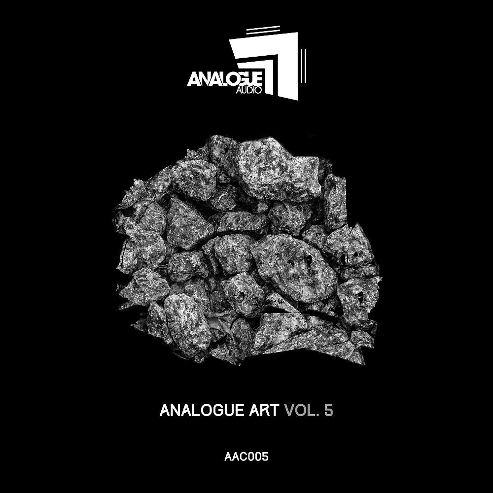 Постер альбома Analogue Art, Vol. 5