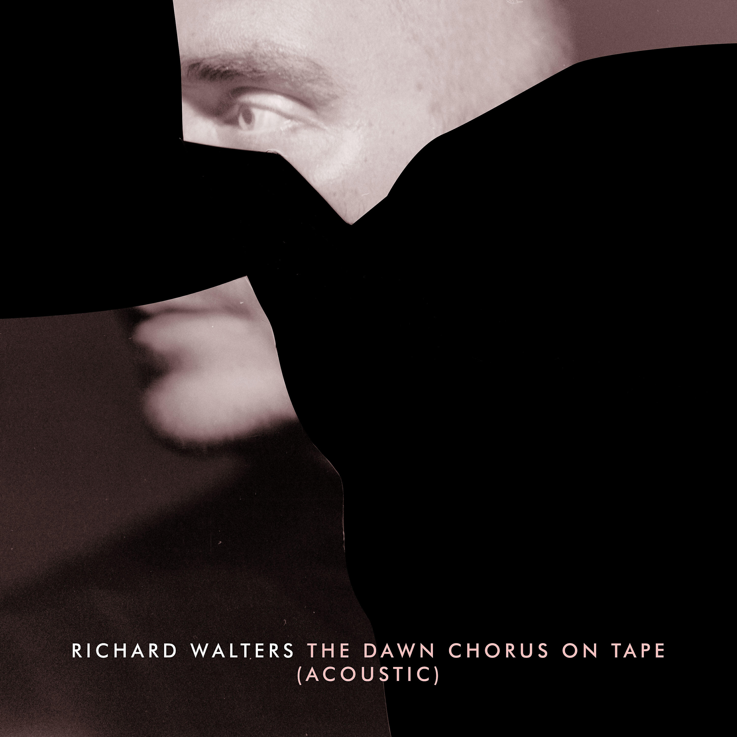 Richard Walters - The Dawn Chorus on Tape (Acoustic)