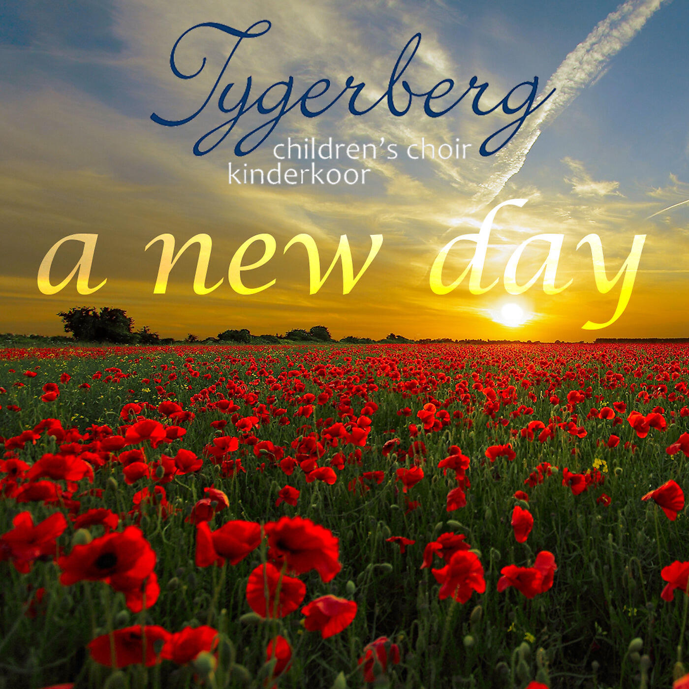 TYGERBERG CHILDREN'S CHOIR - Water Under the Snow Is Weary
