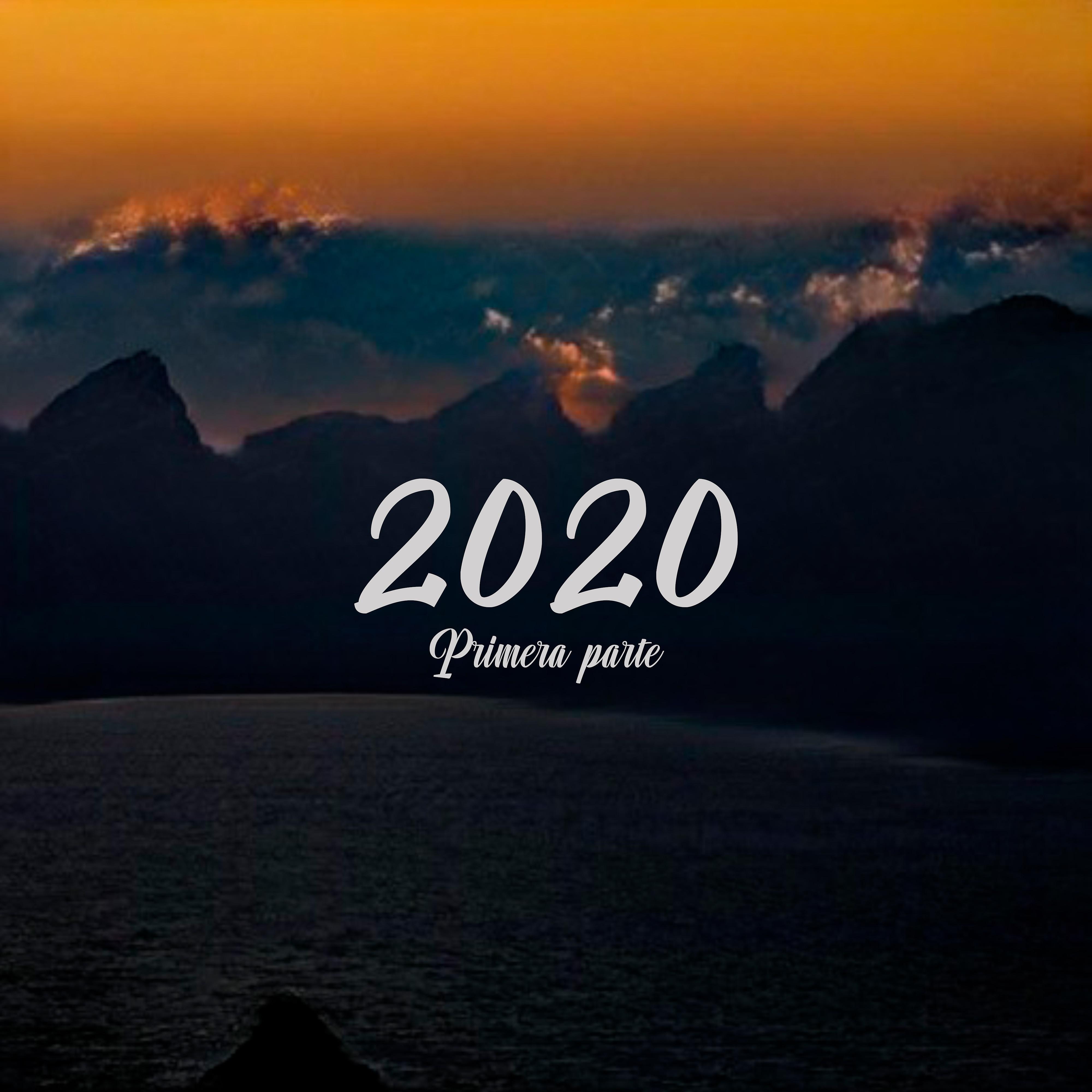 Постер альбома 2020 Primera Parte