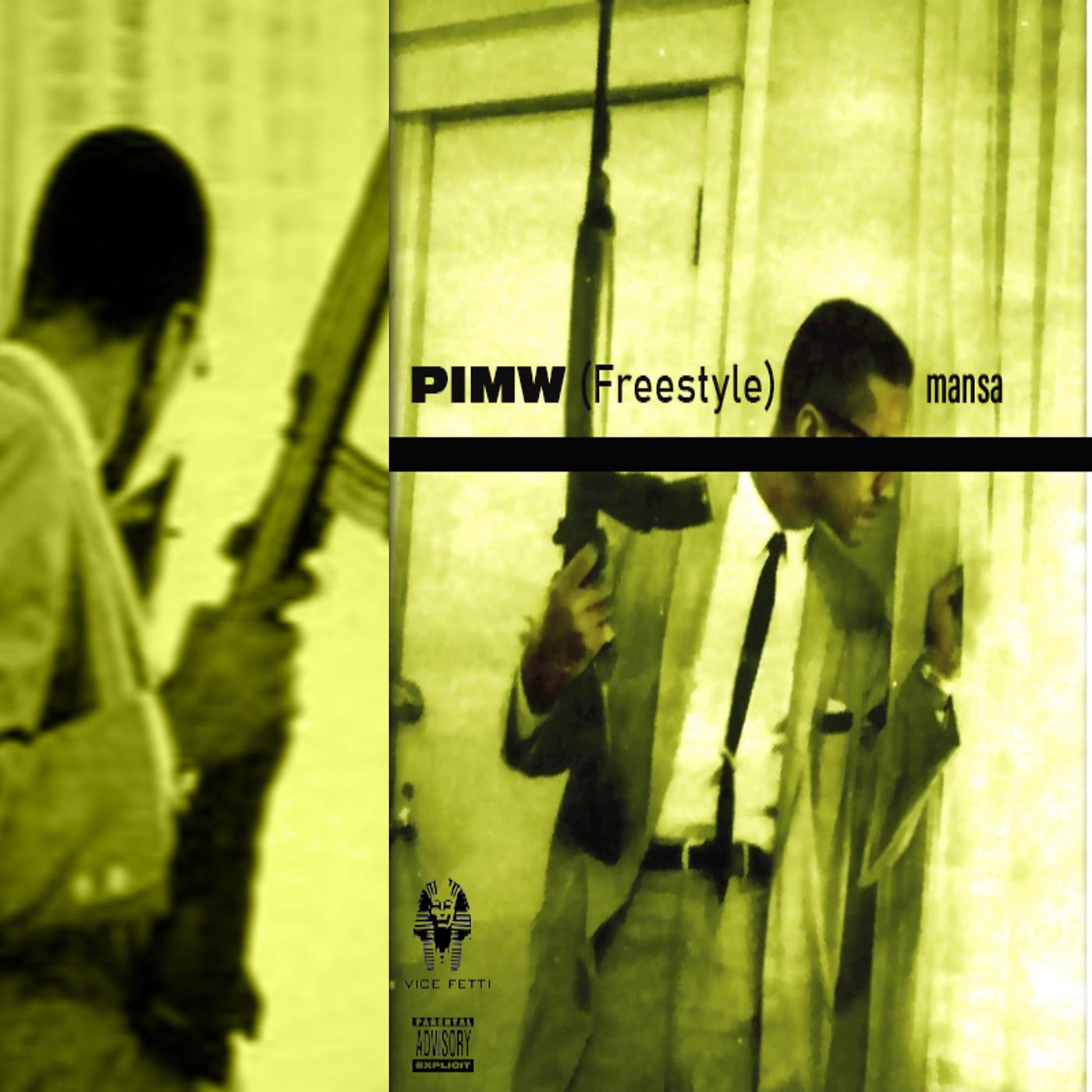 Постер альбома Pimw Freestyle