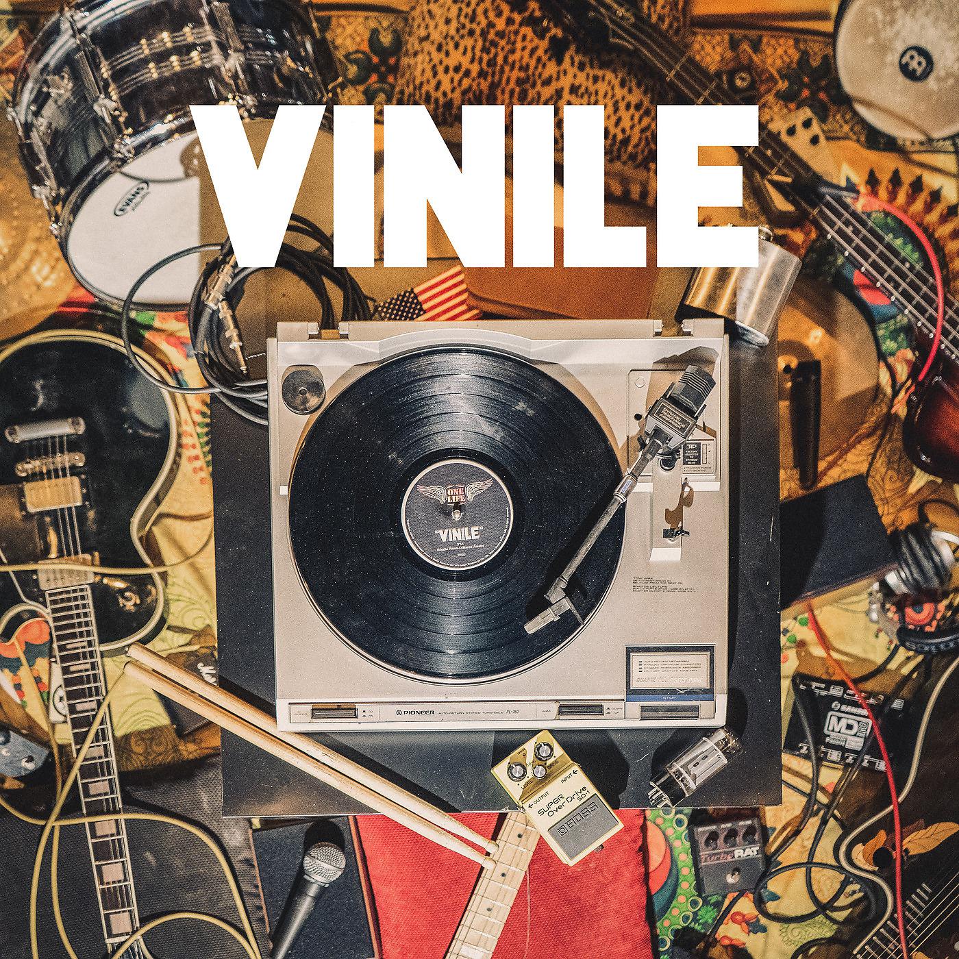 Постер альбома Vinile