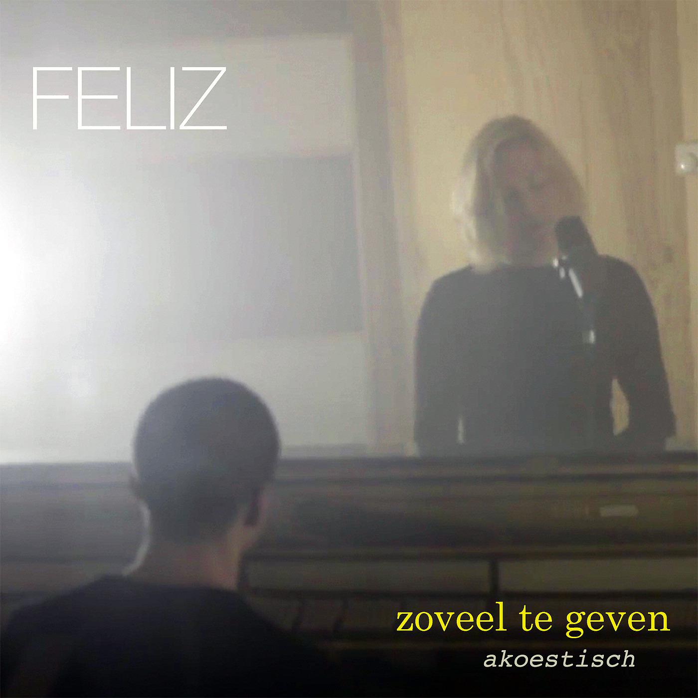Постер альбома Zoveel Te Geven (Akoestisch)