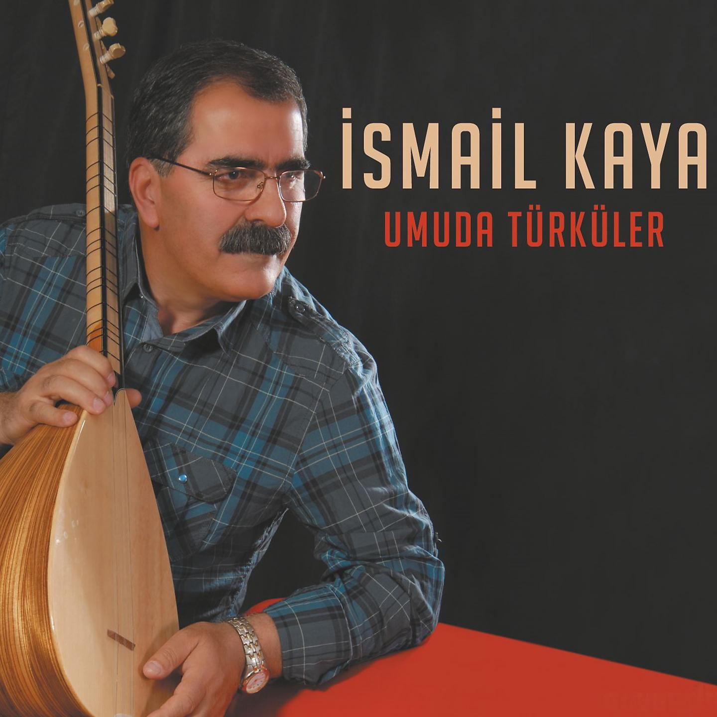 Постер альбома Umuda Türküler