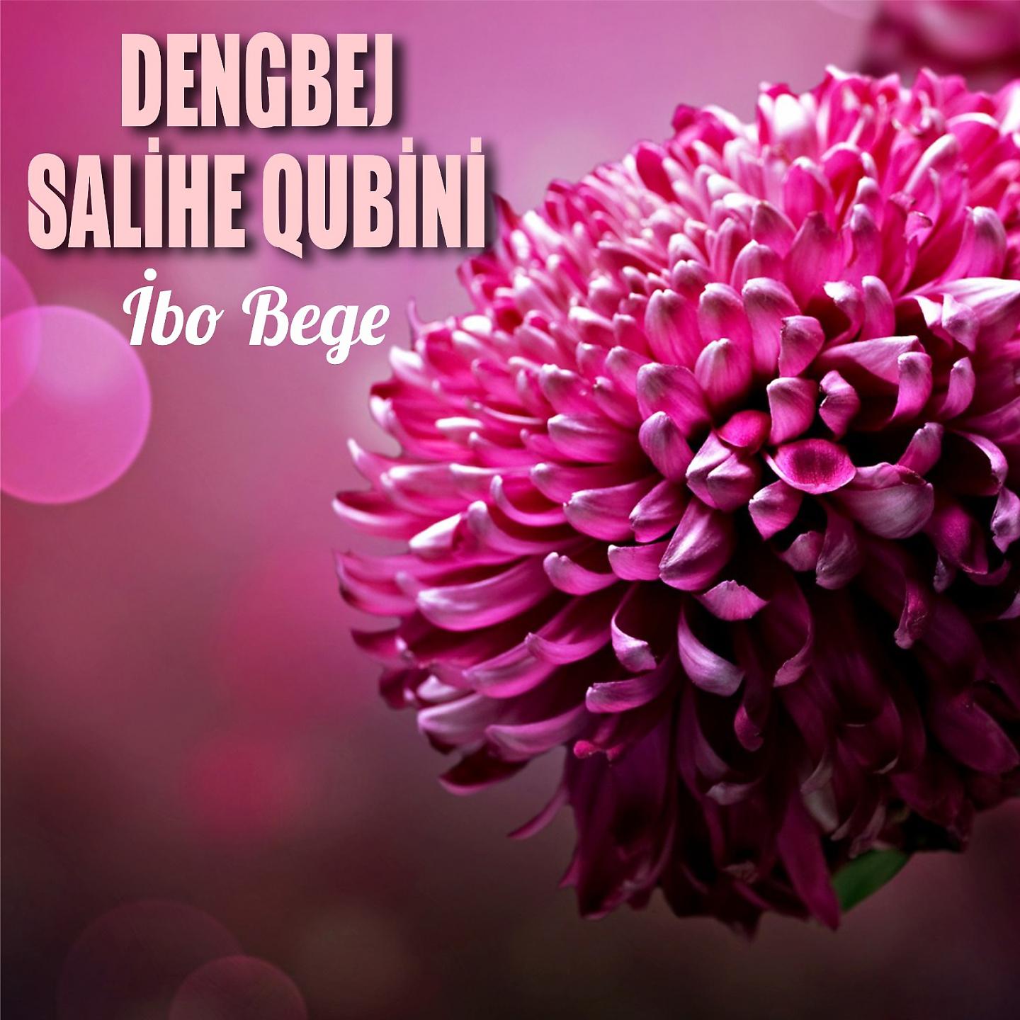 Dengbej Salihe Qubini - İbo Bege Pasure