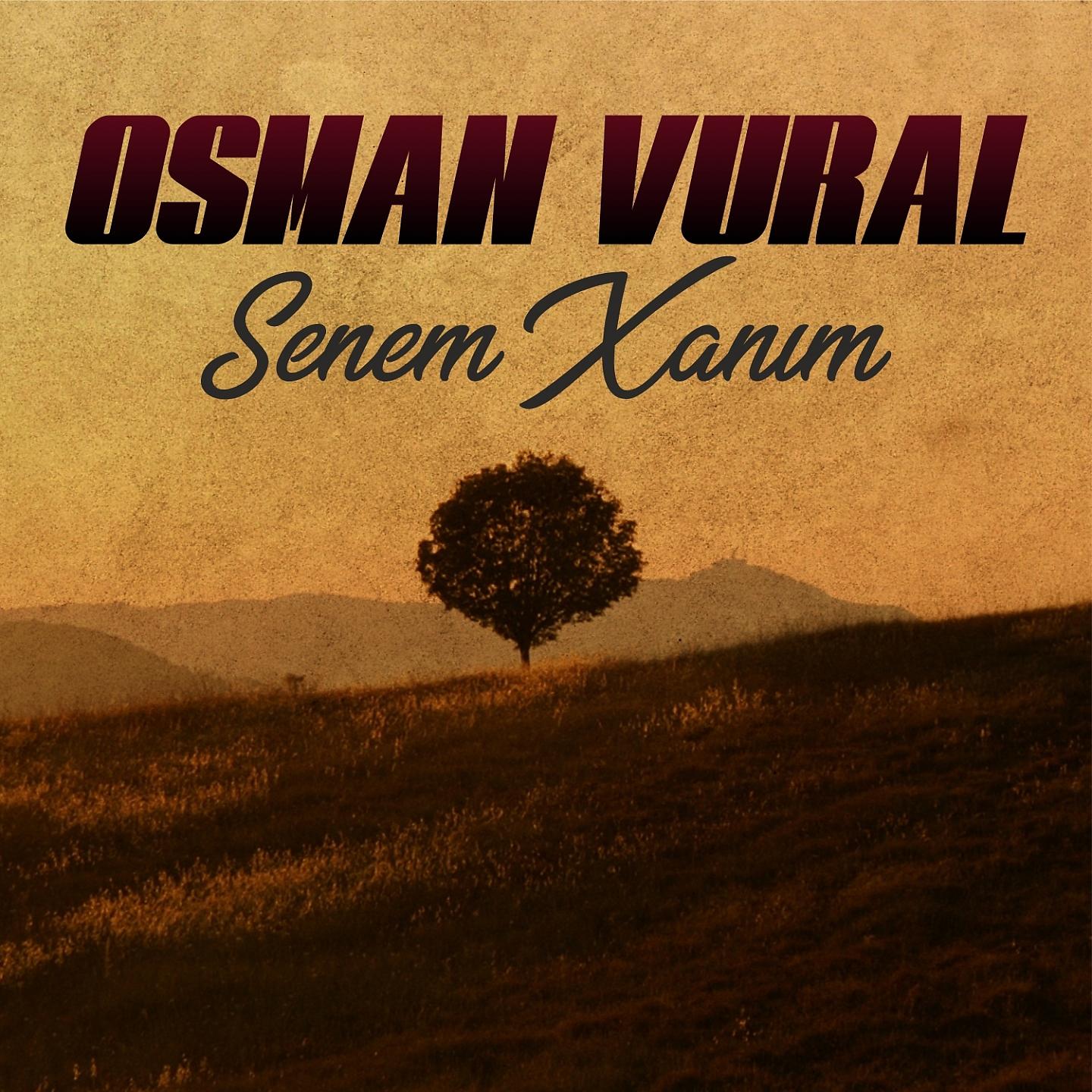 Постер альбома Senem Xanım