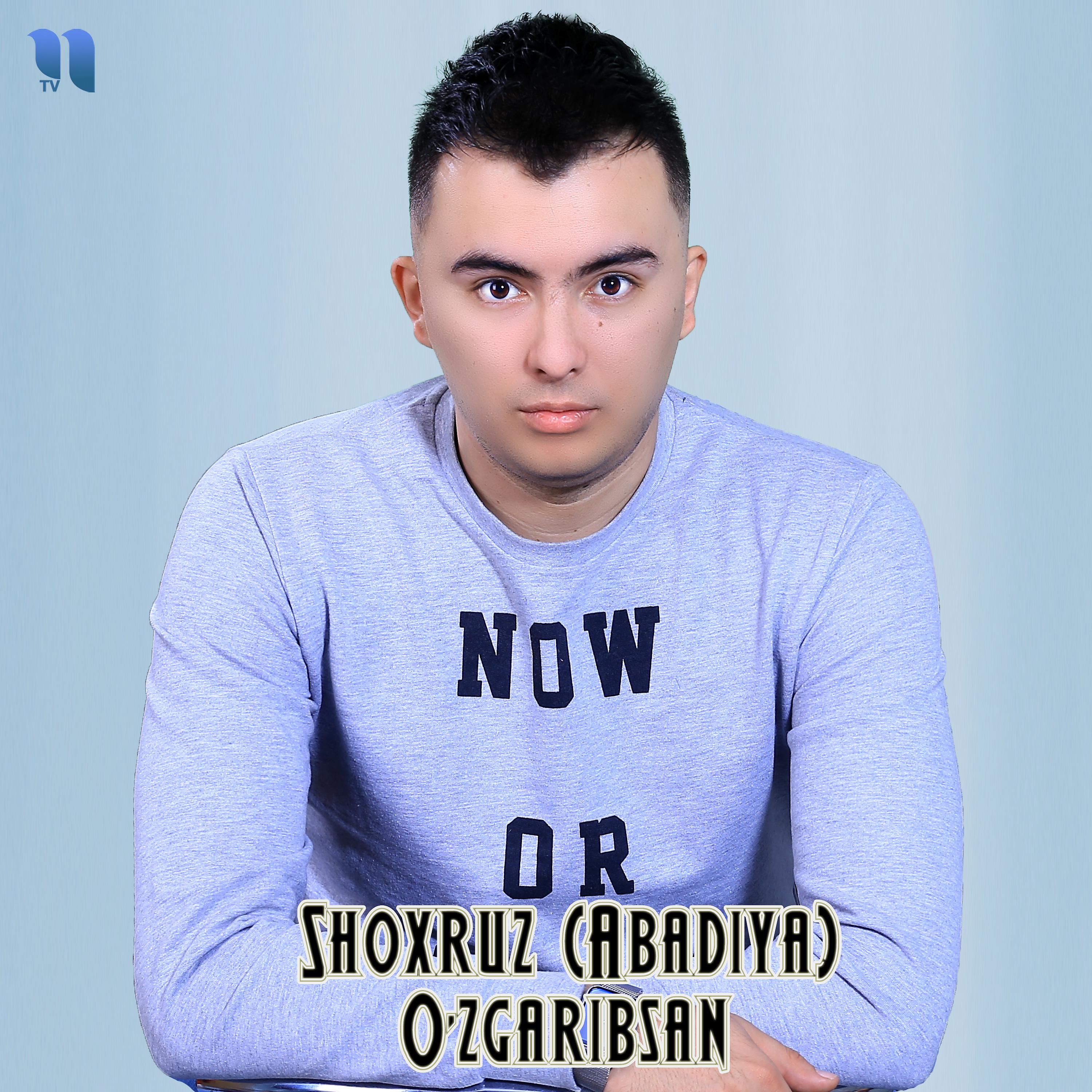 Постер альбома O'zgaribsan