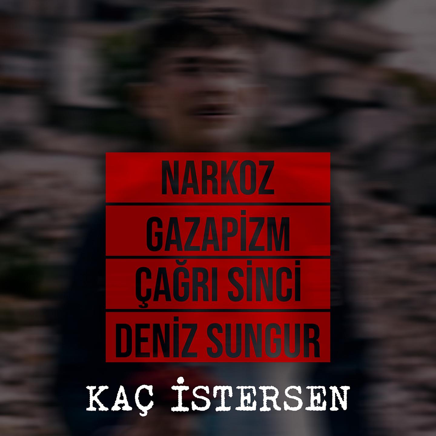 Постер альбома Kaç İstersen