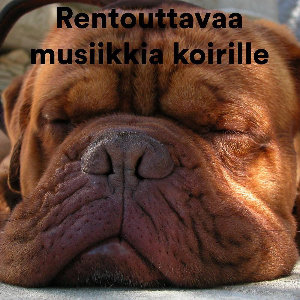 The Guinea Pig Gurus - The Sleeping Guinea Pig