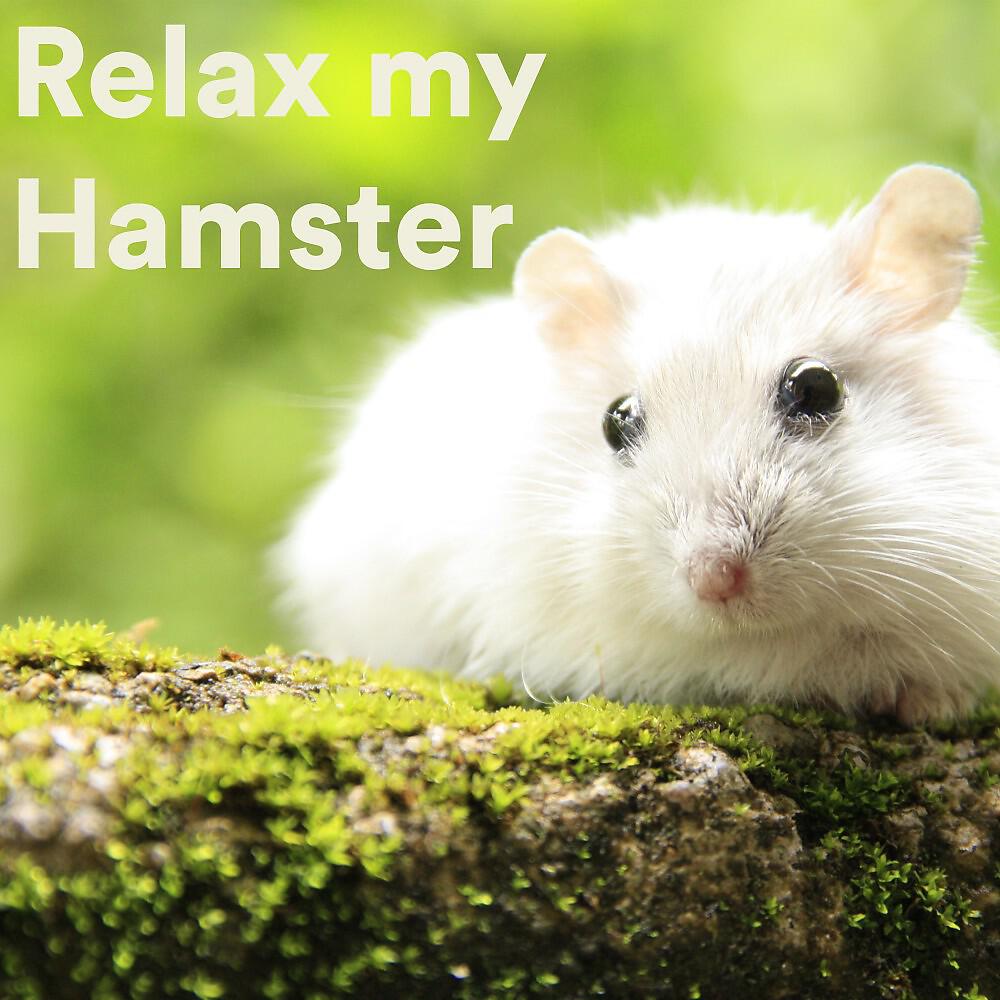 The Dog Relaxer - DNA Help for Dogs and Pets