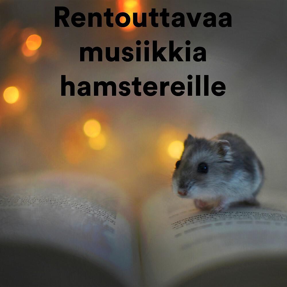 The Fish Flow Relaxation - The Chilling Fish