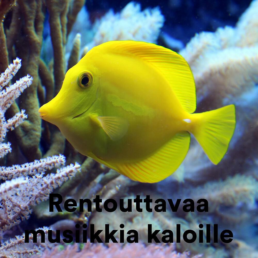 The Hamster Helper - Relax My Hamster