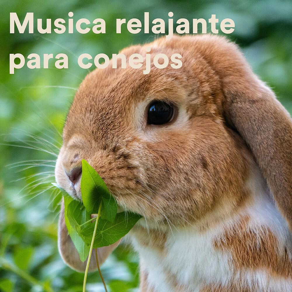 The Hamster Helper - Relaxing Sounds for Hamsters
