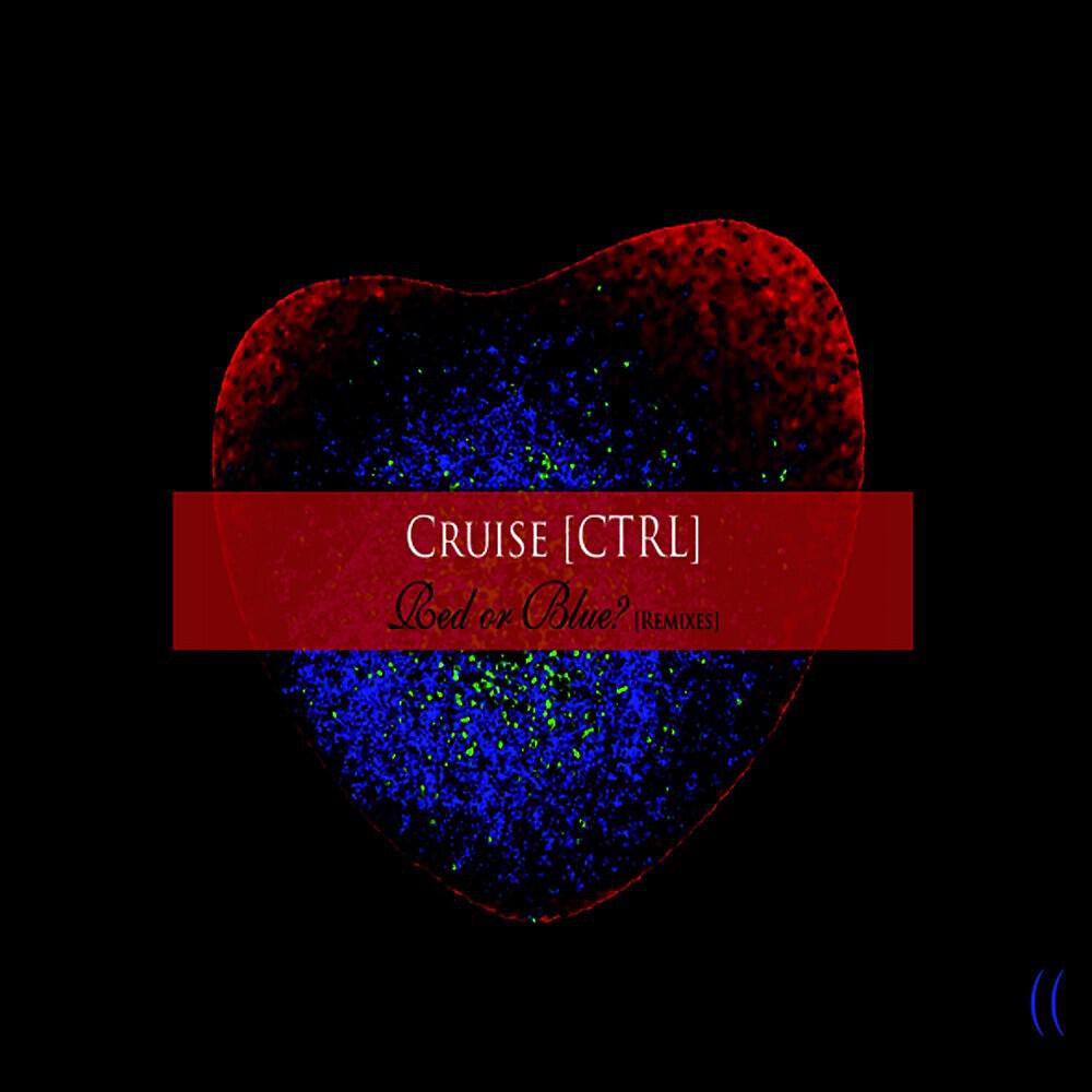 cruise [ctrl] - Where Is Alice? Alice Who? (Hiv+ Mix)