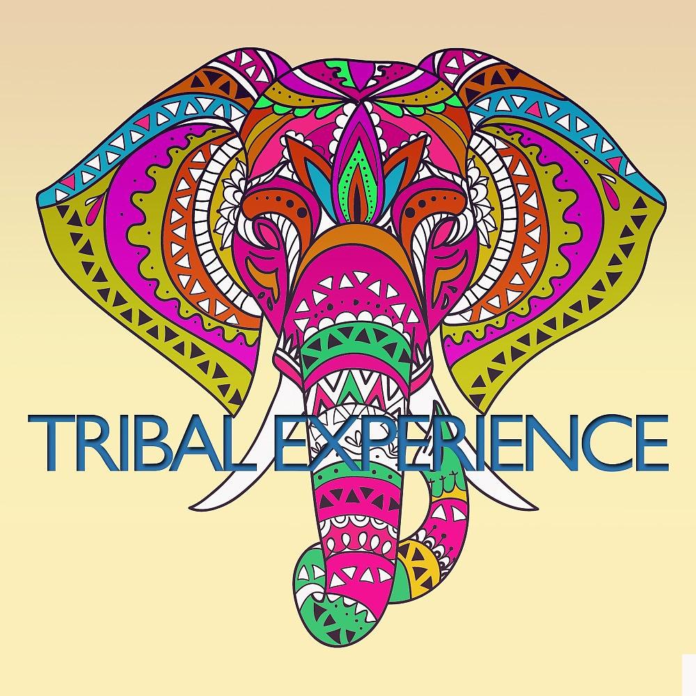 Постер альбома Tribal Experience