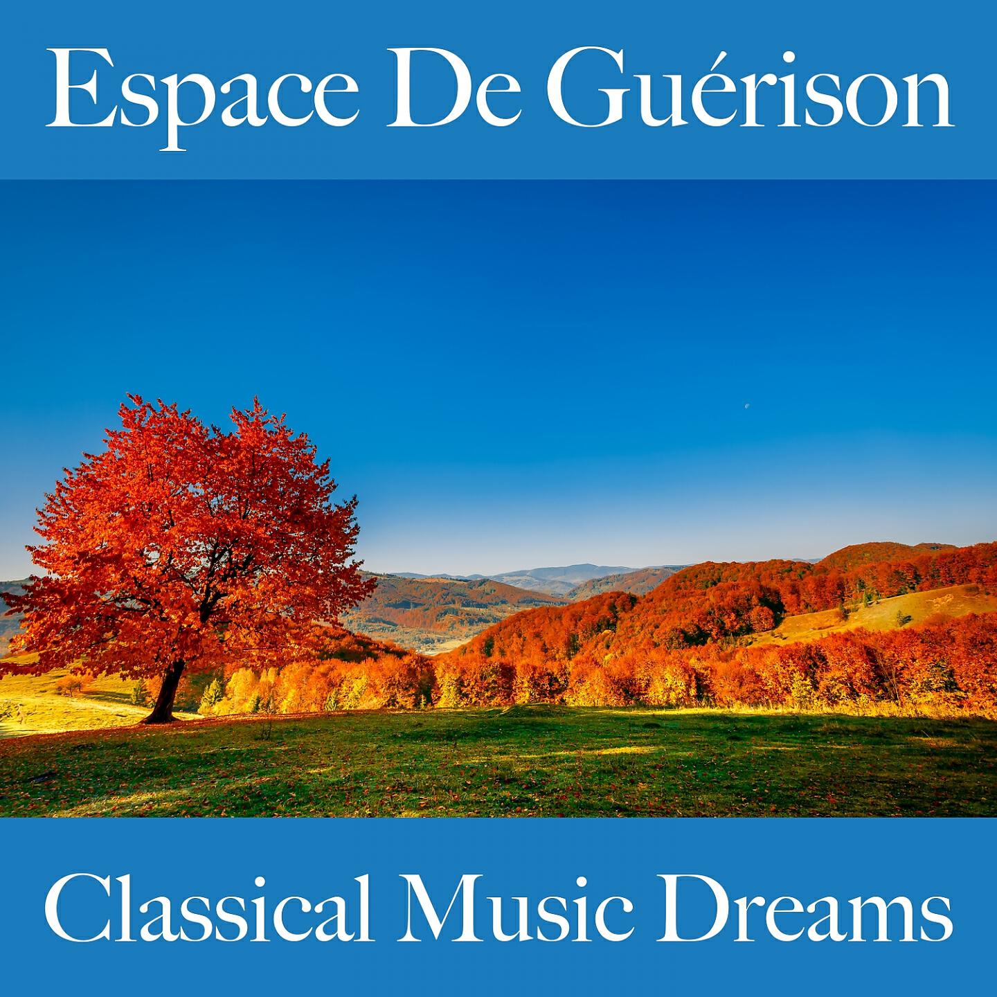Boston Symphony Orchestra - Requiem, Op. 5: Agnus Dei
