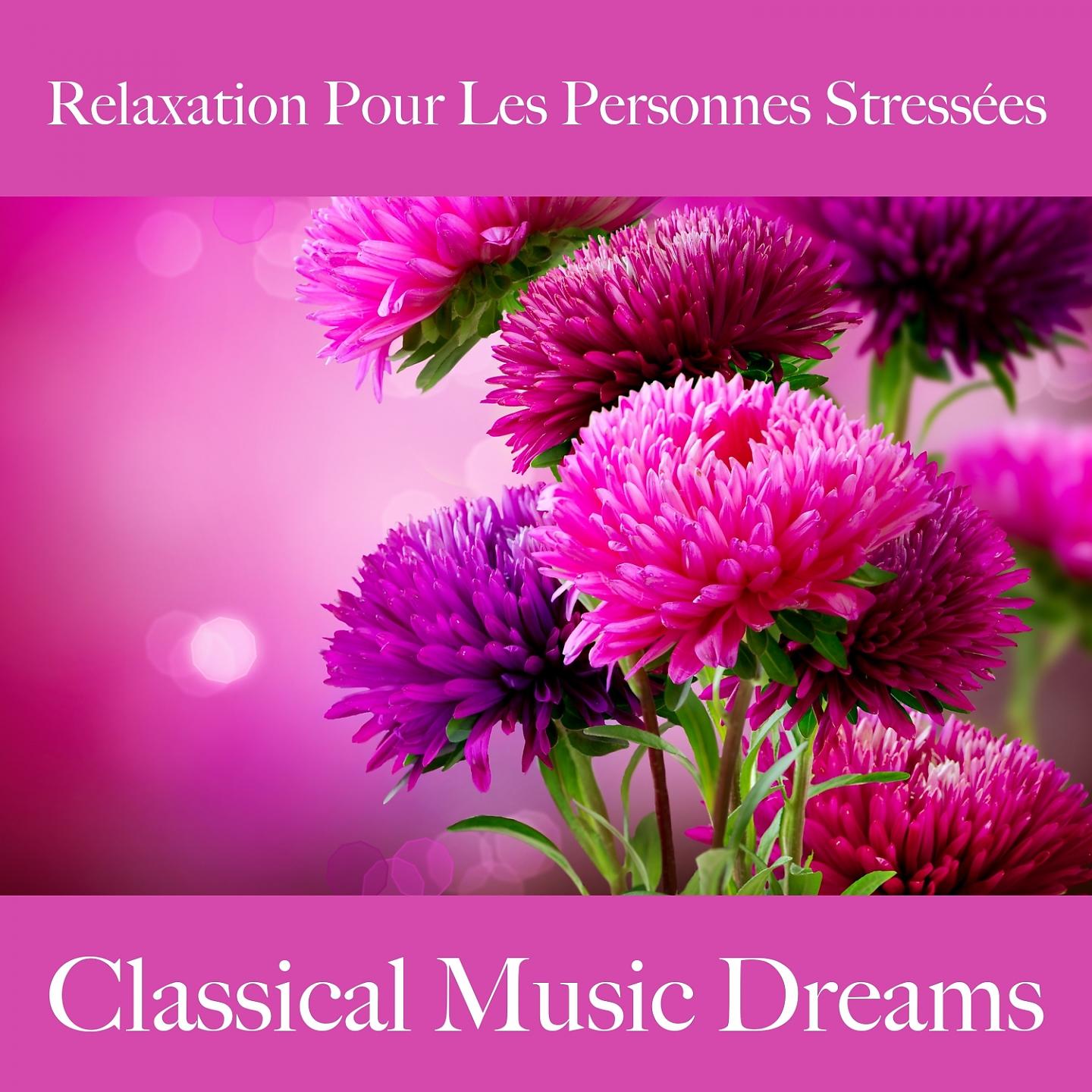 Постер альбома Relaxation Pour Les Personnes Stressées: Classical Music Dreams - La Meilleure Musique Pour Se Détendre