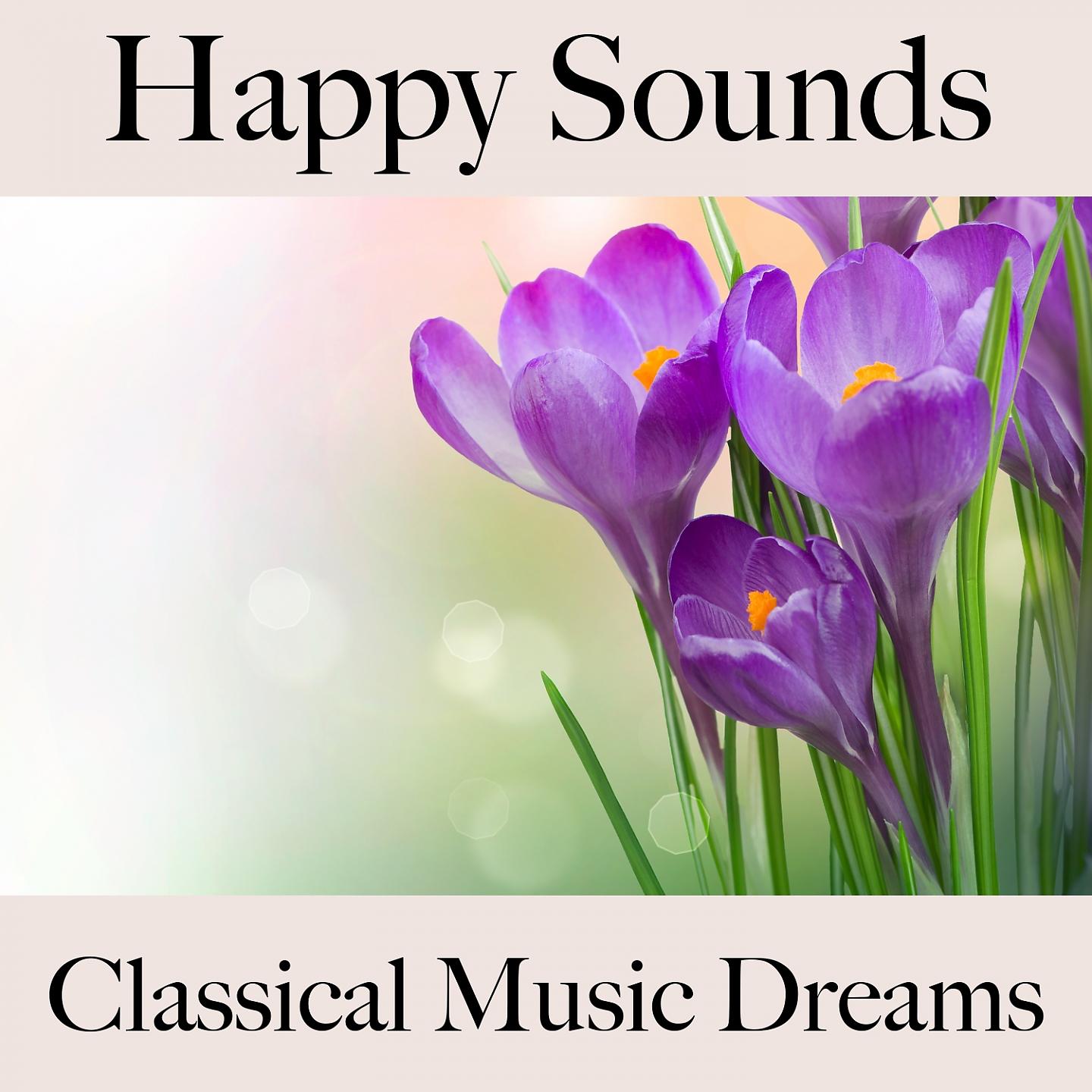 Постер альбома Happy Sounds: Classical Music Dreams - La Meilleure Musique Pour Se Détendre