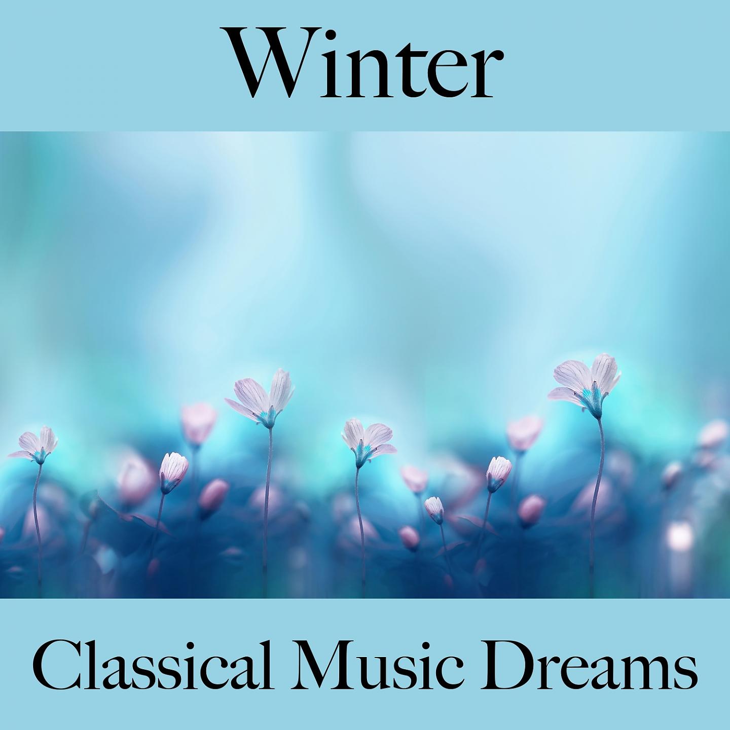 Постер альбома Winter: Classical Music Dreams - Die Beste Musik Zum Entspannen