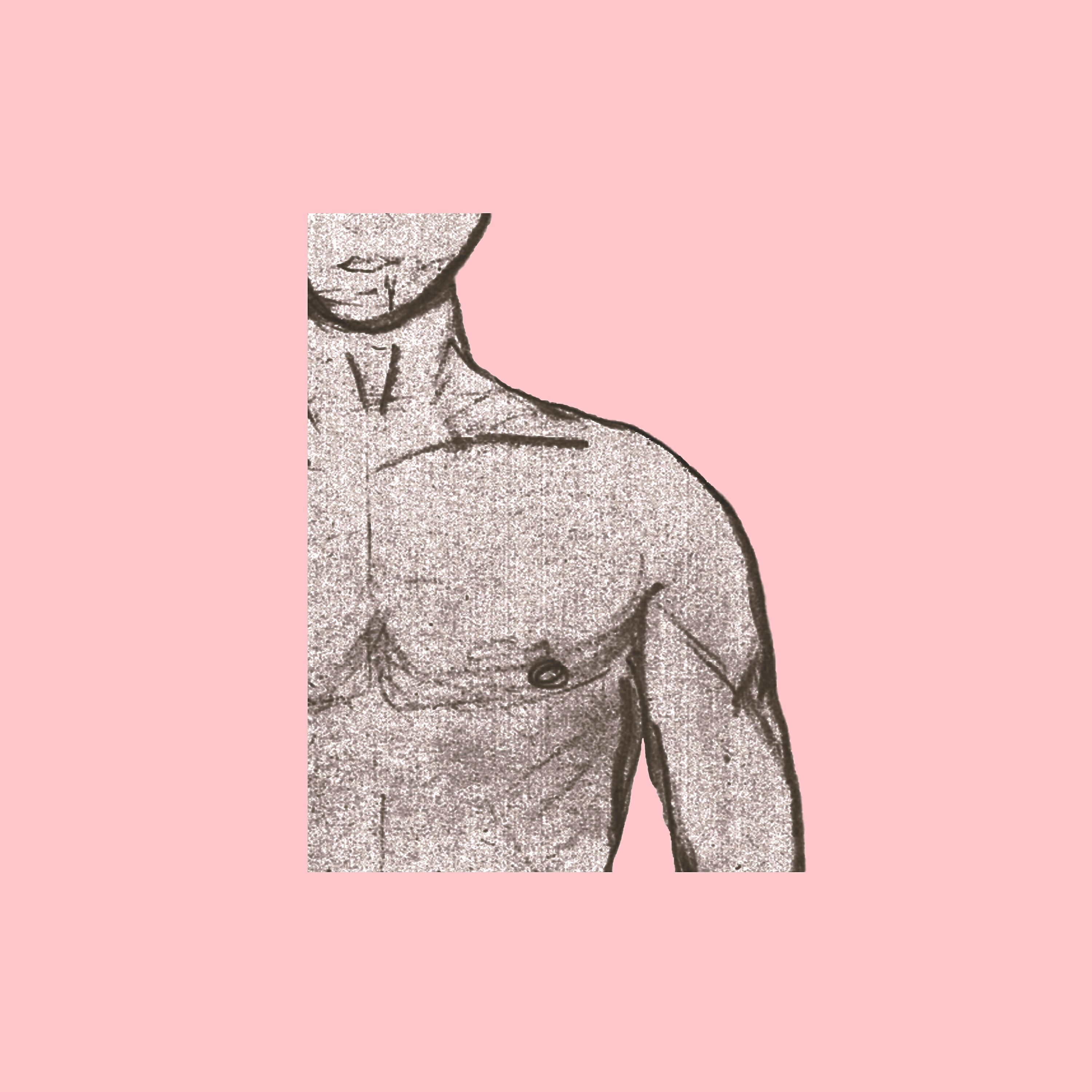 YUNE - Animal