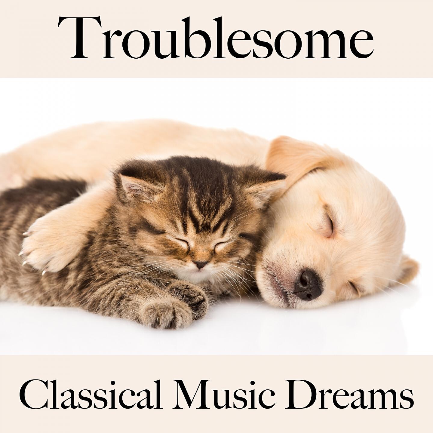 Chicago Symphony Orchestra - Symphony No. 4 in G Major: III. Ruhevoll