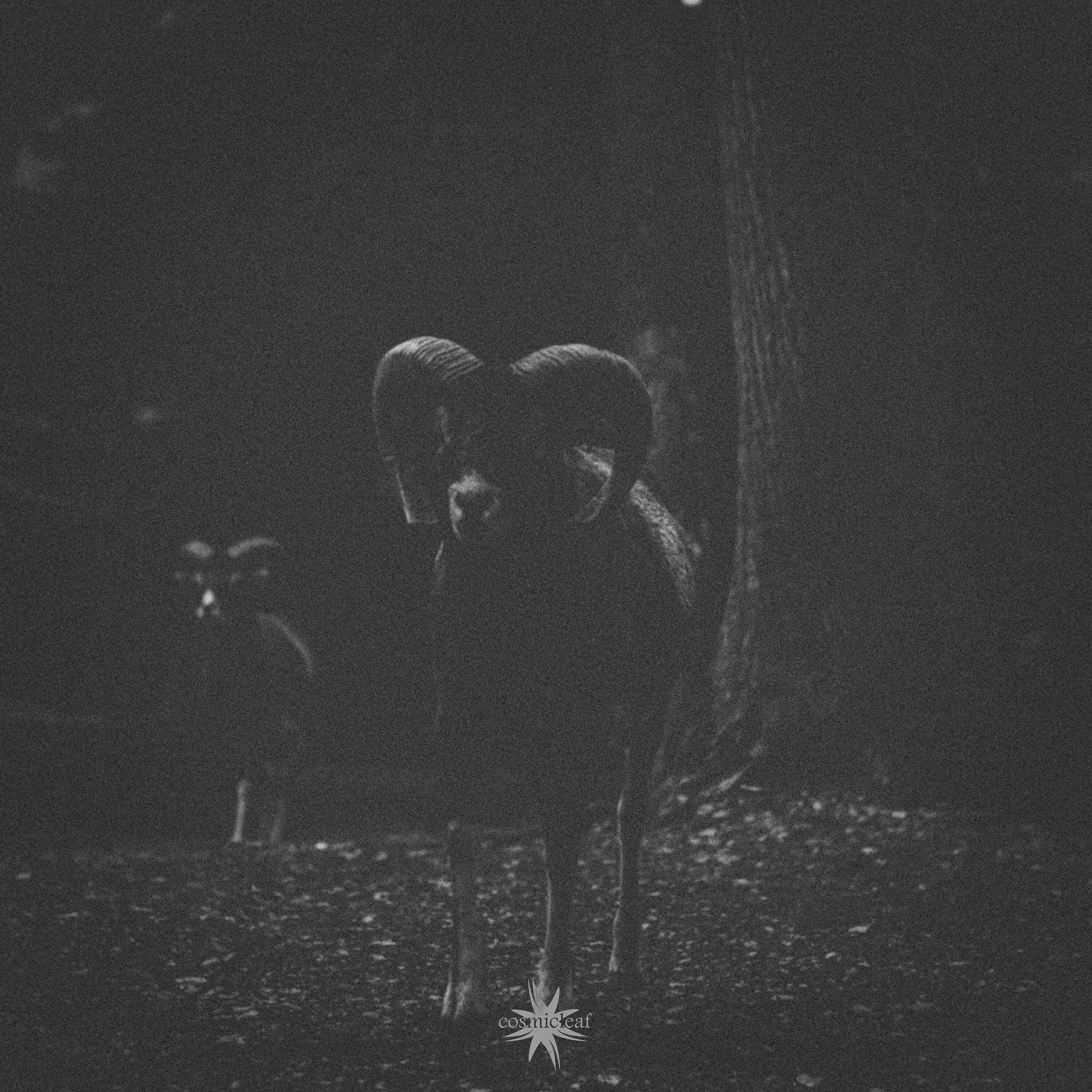 Sundrugs - Gyfu
