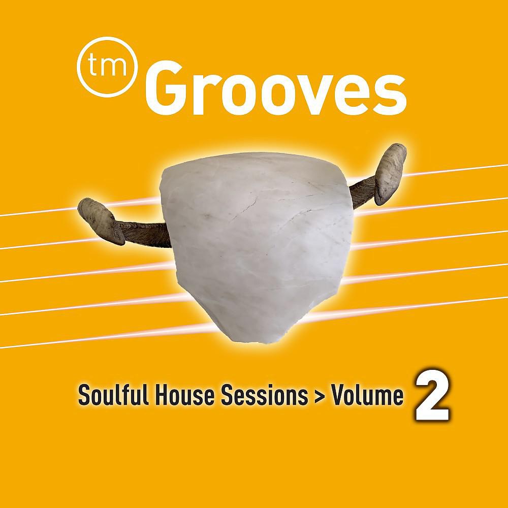 Постер альбома Soulful House Sessions, Vol. 2