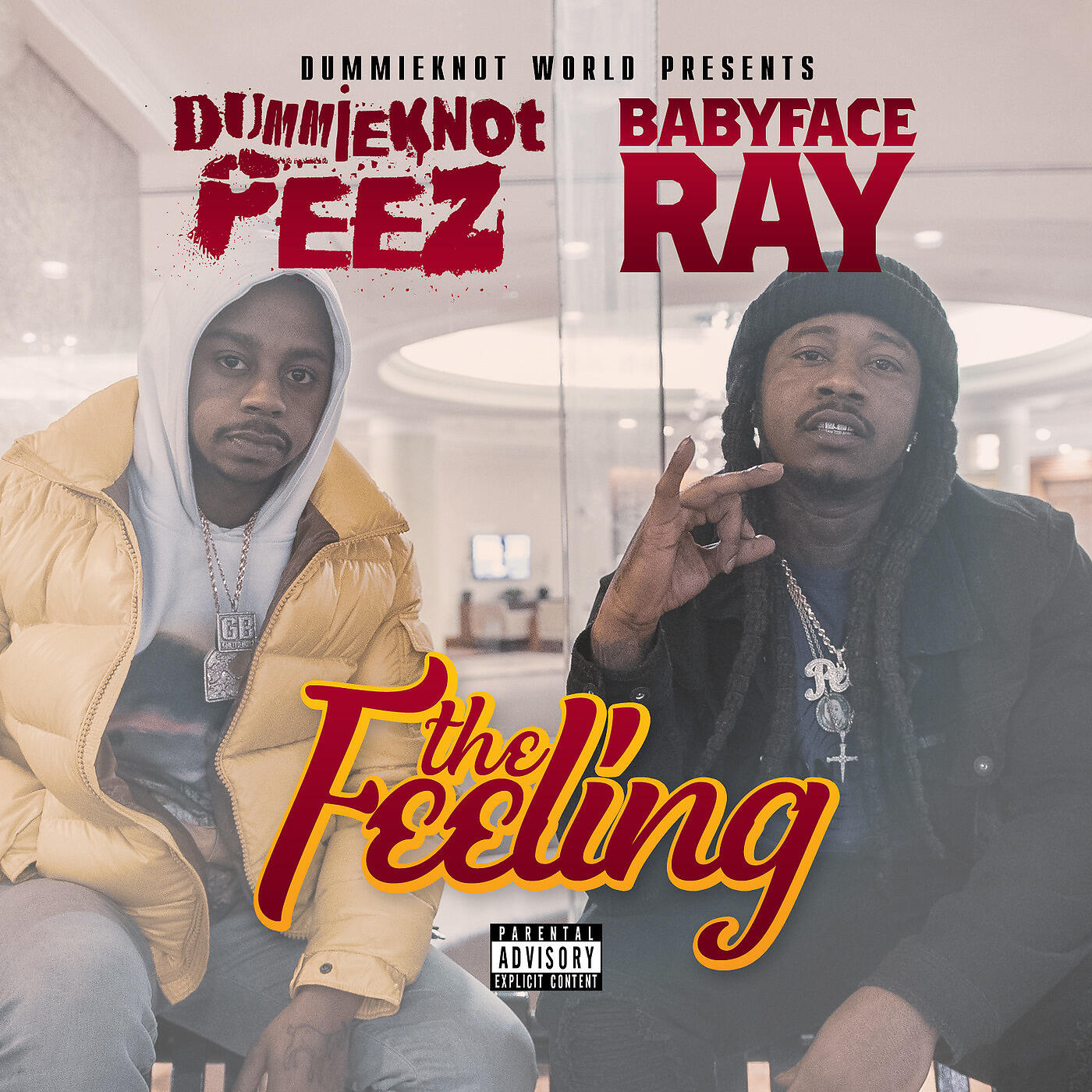 Dummieknot Peez - The Feeling