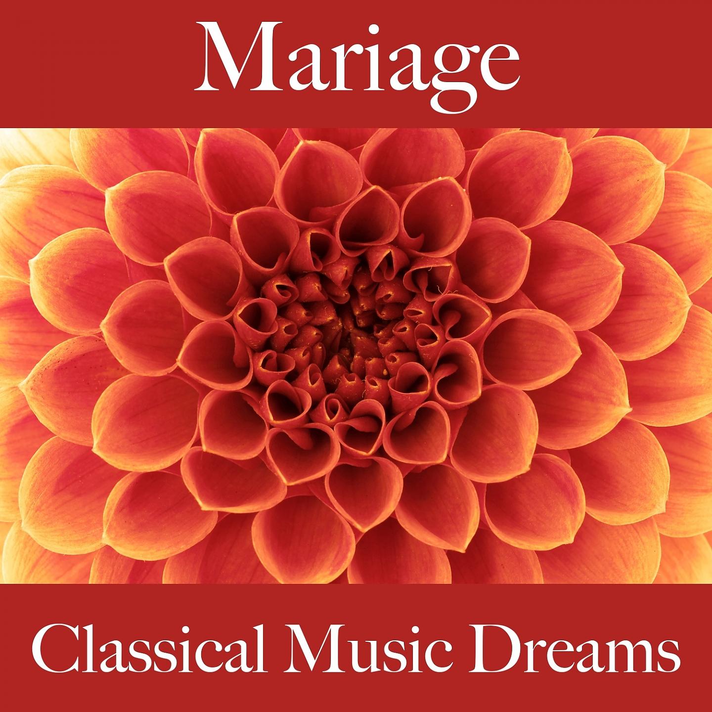 Постер альбома Mariage: Classical Music Dreams - La Meilleure Musique Pour Les Moments À Deux