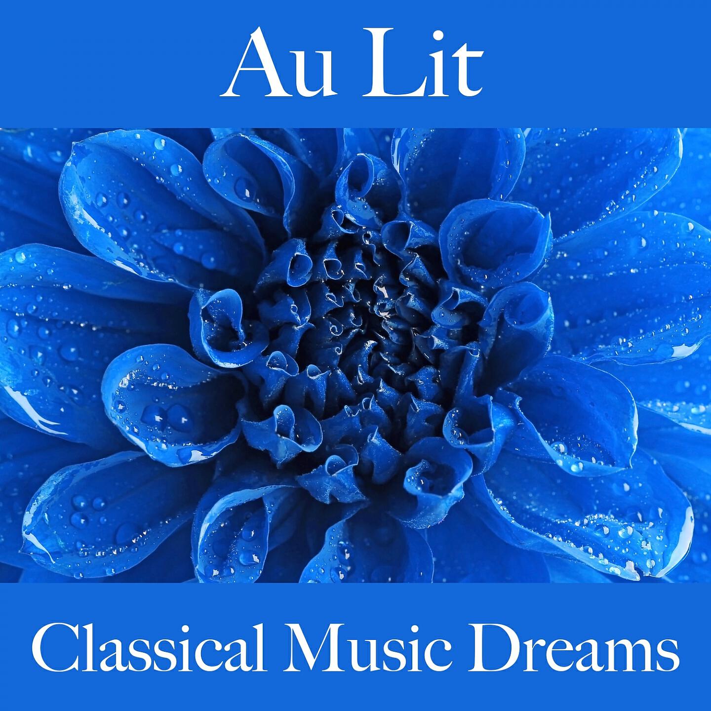 Philharmonia Orchestra - Symphony No. 38 in D Major, K. 503 'Prague': I. Adagio - Allegro